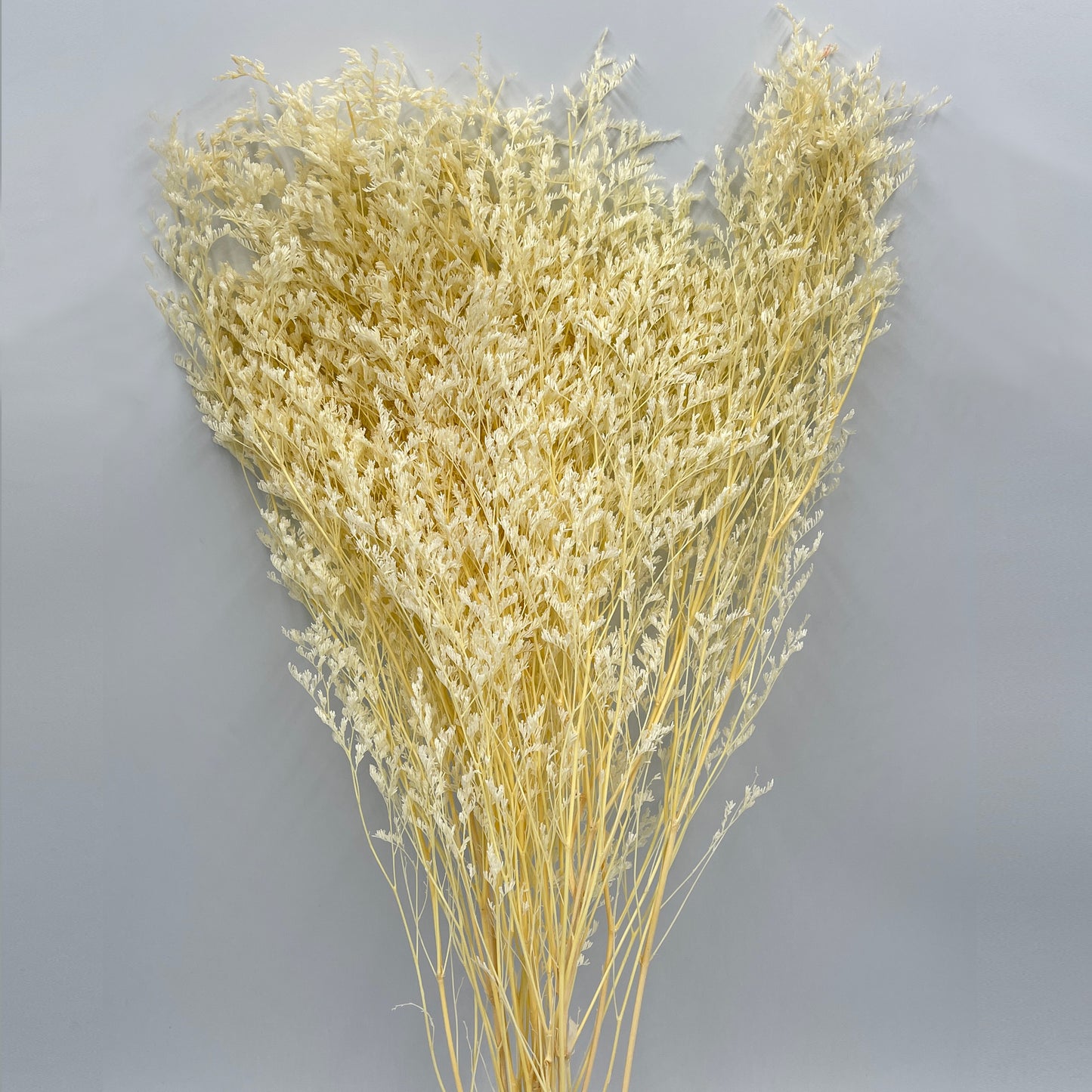 Flor Seca Artificial