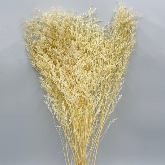 Flor Seca Artificial