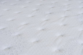 Colchão de Espuma Zen